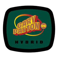 93 Boyz - 93 Boyz | Flower | Gary Payton OG | 3.5g Main Image