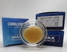 Wax Baller Jar - Hybrid - Forum Cut Cookies 7g