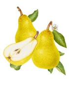 Froot Pear gummies 1:1 (CBG/VEGAN/GF) 100mg