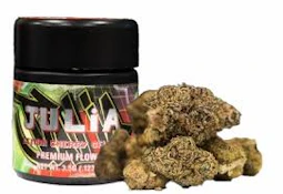 JULIA - Lemon Sherbert - flower - 3.5
