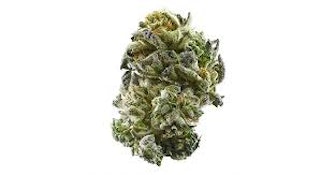 Papa's Herb Mango Mintality (H) Prepackaged (3.5g), Papa's Herb
