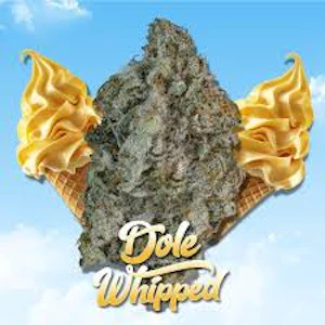 High Grade Farms - High Grade Farms- Dole Whip 3.5g