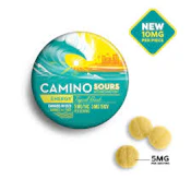 Tropical Burst Sours | Gummies | 100mg/10 Pieces | Camino