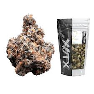 Clone Goddess, Inc. - XOTX - Flower - Black Lemon Cherry Gelato - 14G