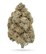 High Grade -  Pink Pony