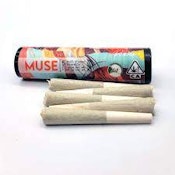 (Promo) MUSE 5pk | Caravan Glue (2.5g) Pre Rolls