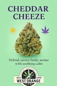 West Orange Farms - Cheddar Cheeze Buds 14g Main Image
