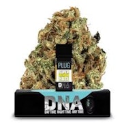 Plug N Play 1g Super Lemon Haze