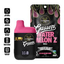 Claybourne Co. - Claybourne Gassers All In One 1g Watermelon Z Main Image