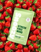Snoozy 5mg Relief Gummy (strawberry stress Free Mind)