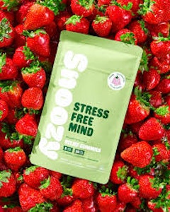 Off Hours - Snoozy 5mg Relief Gummy (strawberry stress Free Mind)
