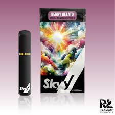 Skyy | Disposable Pen | Berry Gelato | 1g - Snap Canna