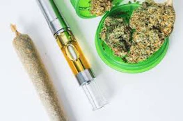 JULIA - Lemon Sherbert - preroll 1.75g