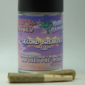 ROOTED & ZOOTED - Rooted & Zooted - Second Breakfast 0.5G Bubble Hash Infused Pre-Roll (5 Pack)
