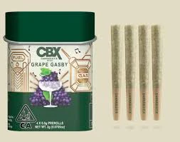 CBX: Cannabiotix - Cannabiotix - GM-UHOH - 2g Pre-Roll Tin Main Image