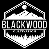 Ethiopian Flame Live Resin Vape Cartridge | Blackwood Cultivation