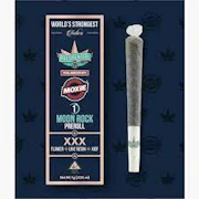 Presidential - Moon Rock Preroll - XXX - 1g