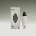 Bloom - Disposable - Live Resin - Apple Sundae - 1G
