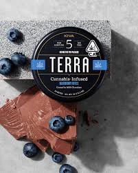 Kiva Confections - Kiva | Terra Bites (20ct) | Milk Chocolate Blueberry | 100mg Main Image
