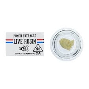 Punch Extracts - Punch Extracts Rosin 1g | Dragon Fruit 2025 (Tier 2)