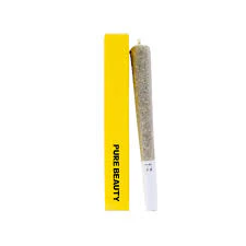 Pure Beauty - Pure Beauty Preroll 1g Crescendo Main Image