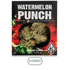 Decibel Gardens - Decibel Gardens - Flower - Watermelon Punch 3.5g Main Image