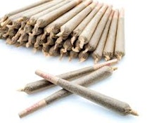 Tropicana Cookies (1g) Preroll-28pk