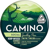 Camino Sparkling Pear CBD "Social" Gummies