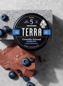 Terra - Milk Chocolate Blueberries 100mg