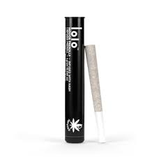 LoLo - Runtz 1g PR infused (H)