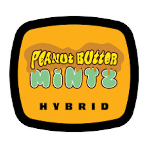 93 BOYZ - 93 Boyz | Flower | Peanut Butter Mintz | 3.5g