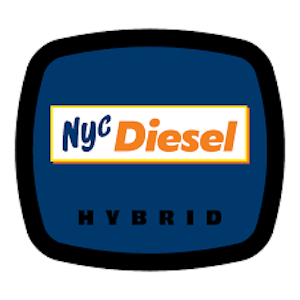 93 BOYZ - 93 Boyz | Flower | NYC Diesel | 3.5g