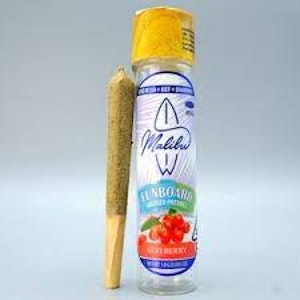 Malibu - Malibu - Goji Berry - 1g Funboard Infused Pre-Roll