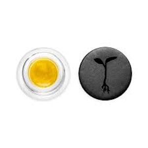 RAW GARDEN - Raw Garden Live Sauce 1g Ze Chem