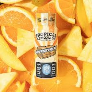 JOURNEYMAN - Journeyman | Beverage | Tropical Lemonade | 100mg