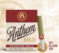 Infused Glass Tip 5 pack .5g | Jack Herer | 2.5g