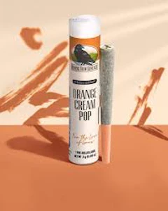 Ravens View Genetics - Raven's View - Orange Cream Pop Preroll - 1G