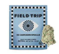Field Trip Smalls 5g Jungle Bird