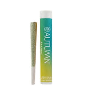 AUTUMN BRANDS - Autumn Brands Preroll 1g Ocean Haze