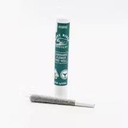 Wave Rider Hash Infused Preroll 1g Gello Shotz