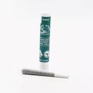 Wave Rider - Wave Rider Hash Infused Preroll 1g Gello Shotz