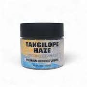 Zanna 3.5g Tangilope Haze
