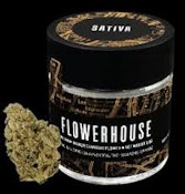 Jack Diesel - 3.5g Flower