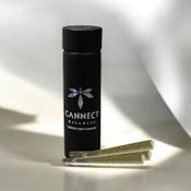 Cannect Wellness | 3 pack .75g | Paris Breath | 2.25g