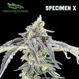 Green Lightning - [REC] Green Lightning | Specimen X | 3.5g Flower