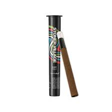 STONER VILLAGE - Stoner Village | Blunt | The Biz | 2g Main Image