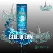 Presidential Infused Preroll 1g Blue Dream