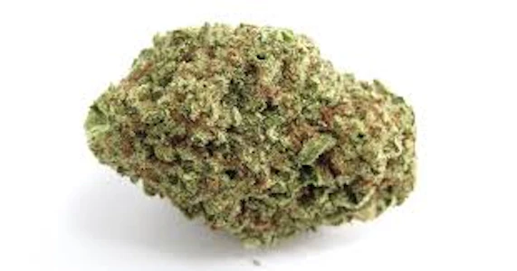 Papa's Herb - Papa's Herb- Papaya Punch