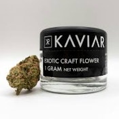 Kaviar | Flower | Cornbread | 1g