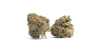 Dime Bag- Papaya Bomb , 3.5 gram